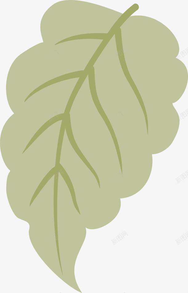 绿叶上的纹理png免抠素材_新图网 https://ixintu.com png图形 叶子 树叶 植物 纹理 装饰