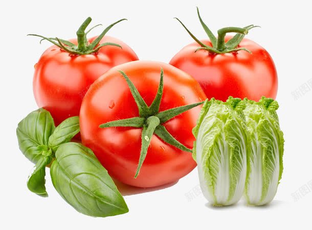 两个不同的蔬菜png免抠素材_新图网 https://ixintu.com 番茄 白菜 红色 蔬菜 西红柿
