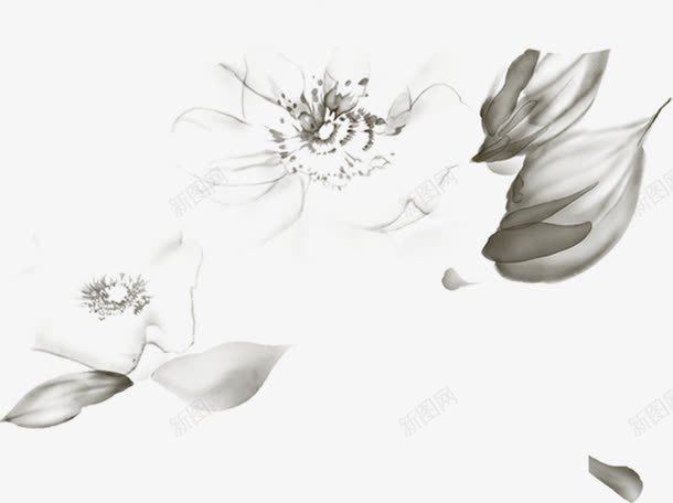 创意合成水彩水墨花卉植物png免抠素材_新图网 https://ixintu.com 创意 合成 植物 水墨 水彩 花卉