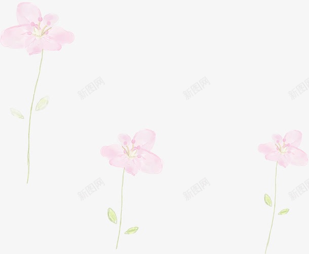 手绘粉色淡彩花卉画报png免抠素材_新图网 https://ixintu.com 画报 粉色 花卉