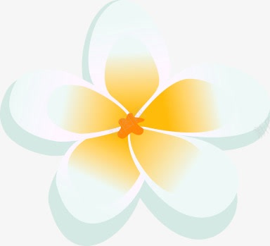 白色可爱唯美花朵植物png免抠素材_新图网 https://ixintu.com 可爱 植物 白色 花朵