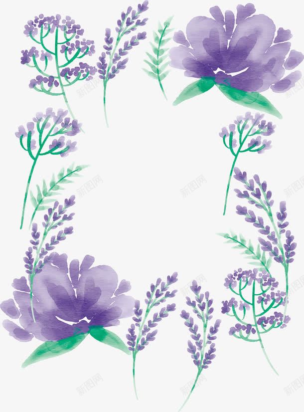 紫色水彩植物png免抠素材_新图网 https://ixintu.com 手绘植物 水彩植物 矢量png 紫色花朵 紫花边框