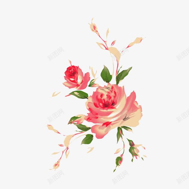 手绘粉玫瑰png免抠素材_新图网 https://ixintu.com 图片 手绘 玫瑰 粉玫瑰 花卉 花朵