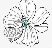 花卉png免抠素材_新图网 https://ixintu.com 线条 花瓣 花蕊
