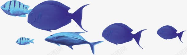 创意合成效果蓝色的小鱼模型png免抠素材_新图网 https://ixintu.com 创意 合成 效果 模型 蓝色