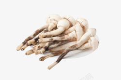 宫爆鸡菇菌新鲜食材餐食乡味鸡枞菌高清图片