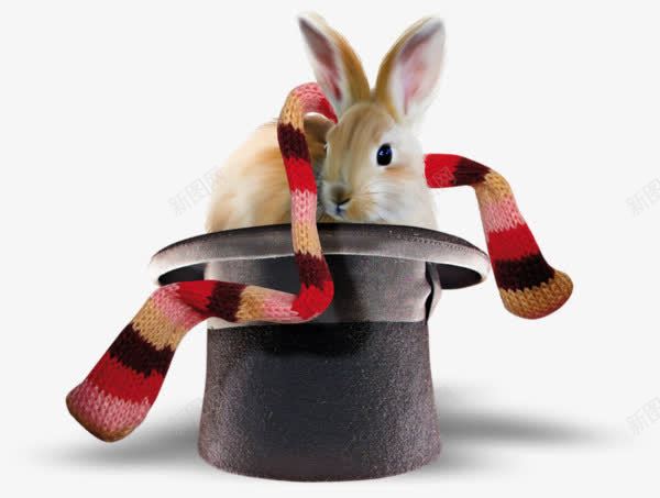 帽子里的兔子png免抠素材_新图网 https://ixintu.com 兔子 变魔术 围巾 帽子 魔术帽