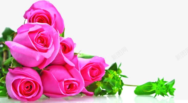 粉色堆放玫瑰花元素png免抠素材_新图网 https://ixintu.com 元素 堆放 玫瑰花 粉色