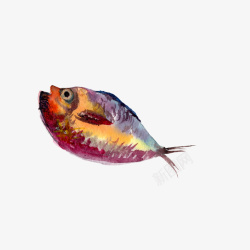 大肚鱼手绘水彩鱼高清图片