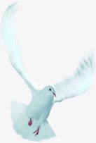 白色摄影活动和平鸽png免抠素材_新图网 https://ixintu.com 和平鸽 摄影 活动 白色