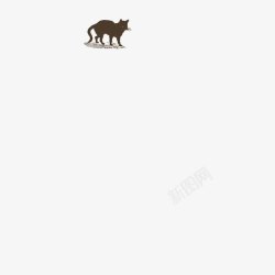 捕鼠猫牧场动物黑猫高清图片