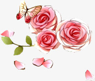 玫瑰花与蝴蝶素材