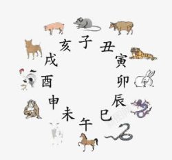 生肖查询素材