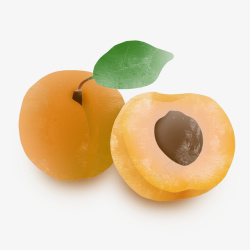 美味水果杏仁元素素材