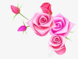粉色玫瑰花边框图素材