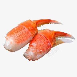 阿拉斯加鳕蟹蟹爪素材
