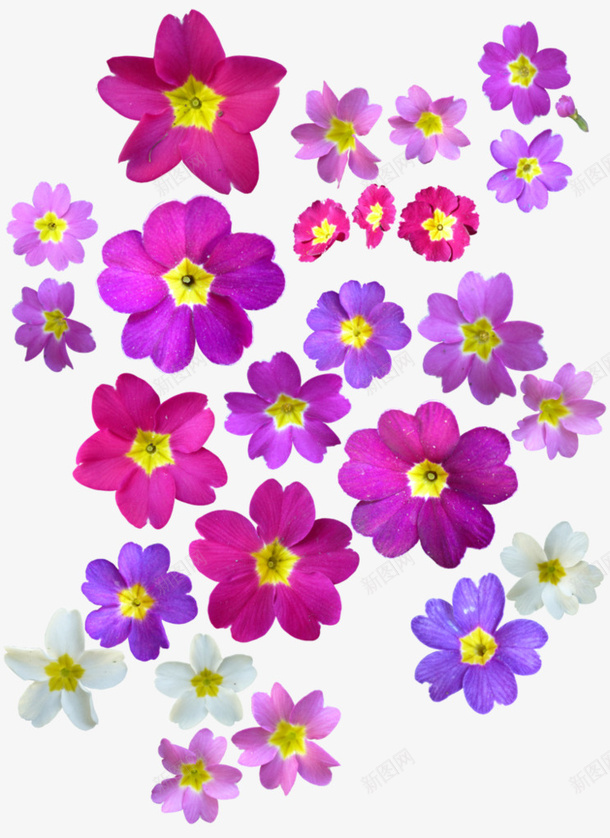 粉紫色花朵底纹元素png免抠素材_新图网 https://ixintu.com 卡通 底纹 手绘 白色花 粉色花 紫色花