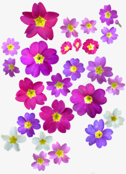 粉紫色花朵底纹元素素材