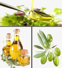 绿色食品橄榄油素材