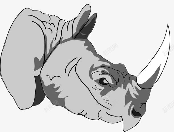 卡通犀牛png免抠素材_新图网 https://ixintu.com 动物犀牛 哺乳动物 独角犀