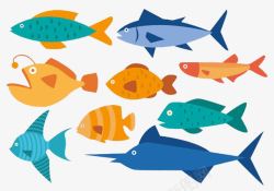 海洋生物鱼类素材
