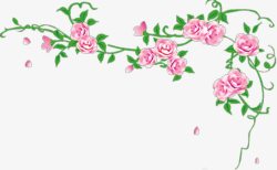 粉色玫瑰插画背景素材