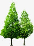 绿色树木园林植物素材