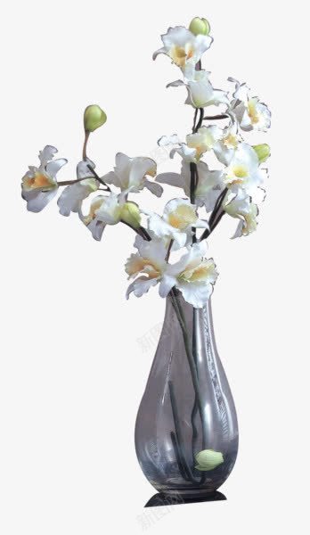 鲜花花瓶png免抠素材_新图网 https://ixintu.com 叶子 家居 家装 植物 白色花卉 花瓶 鲜花