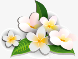 花花朵白花淘宝白色素材