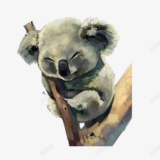 考拉手绘png免抠素材_新图网 https://ixintu.com 手绘 水彩 灰 考拉