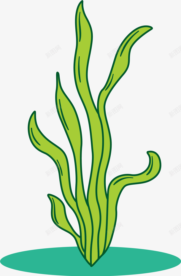 线条瘦小迷你海藻png免抠素材_新图网 https://ixintu.com 卡通藻类 海藻 瘦小的海藻 矢量藻类 线条 藻类 藻类植物