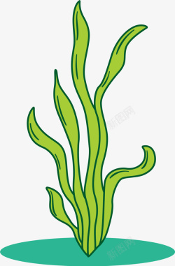 瘦小的海藻线条瘦小迷你海藻高清图片