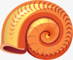 海洋哺乳动物世界海洋日美丽橙色海螺高清图片