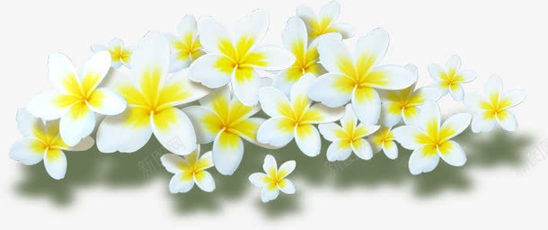 白色唯美花朵清新美景png免抠素材_新图网 https://ixintu.com 清新 白色 美景 花朵