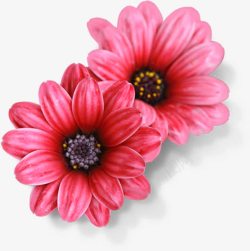 粉色水彩花朵美景素材