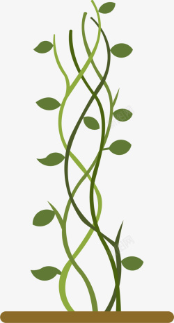 茂盛绿色豆茎素材