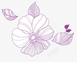 紫色小花简笔画素材