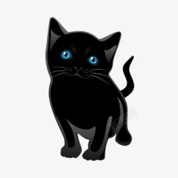 蓝眼睛波斯猫高清图片