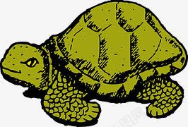 绿色的乌龟png免抠素材_新图网 https://ixintu.com 动物类 爬行动物 绿色 草龟