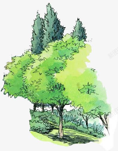 绘画绿化树园林景观png免抠素材_新图网 https://ixintu.com 园林 景观 绘画 绿化
