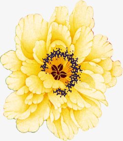 手绘黄色古典花朵装饰素材