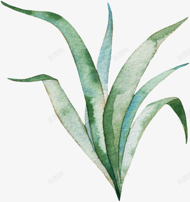 彩绘植物png免抠素材_新图网 https://ixintu.com 叶子 彩绘画 植物 矢量装饰 装饰