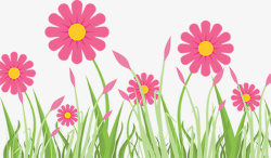 花朵植物插画6素材