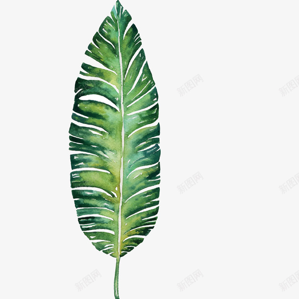 绿色的手绘植物叶子png免抠素材_新图网 https://ixintu.com 叶子 小清新 手绘 植物 绿色 装饰叶子