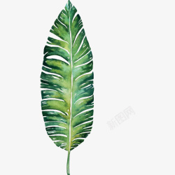 绿色的手绘植物叶子素材