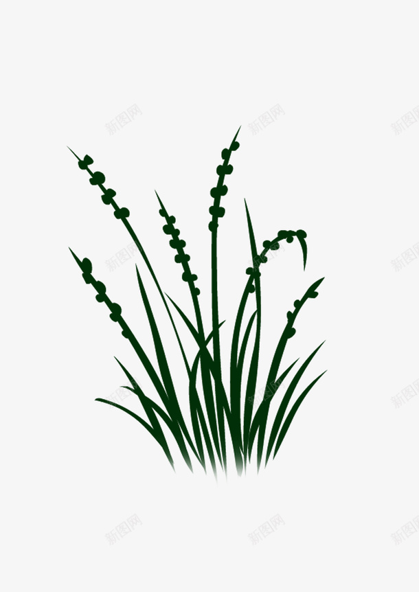 绘画植物png免抠素材_新图网 https://ixintu.com 绘画植物 绿色 自然 草