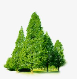 绿色环保植物树木素材