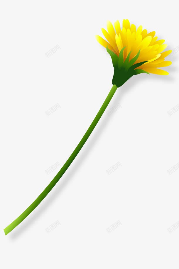 一支黄色花png免抠素材_新图网 https://ixintu.com 一朵 绿色 花朵 黄色