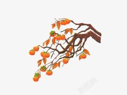 柿子树卡通素材