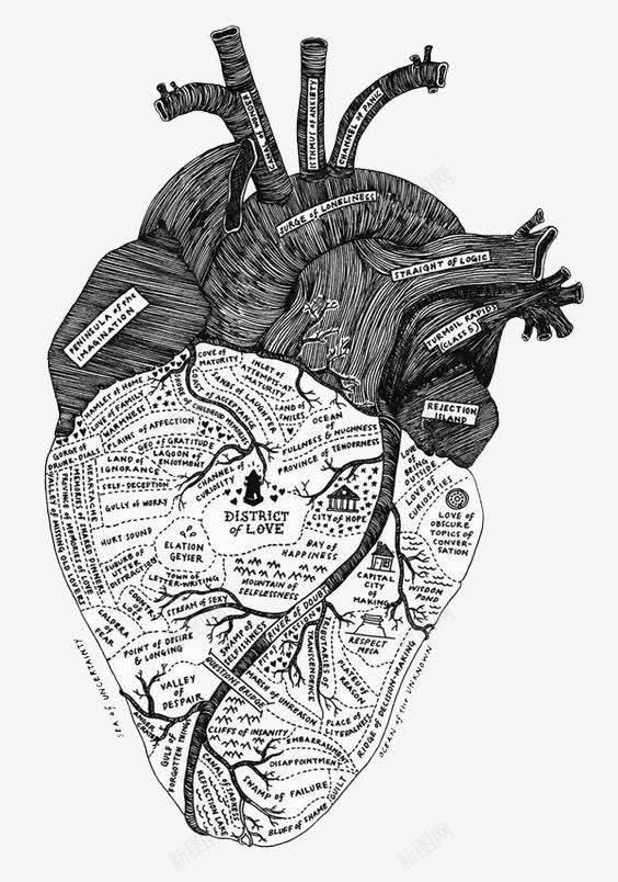 心脏黑白线条绘画png免抠素材_新图网 https://ixintu.com 心脏 素描心脏 绘画 设计 黑白线条